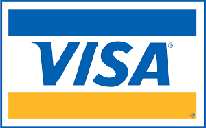 visa payment